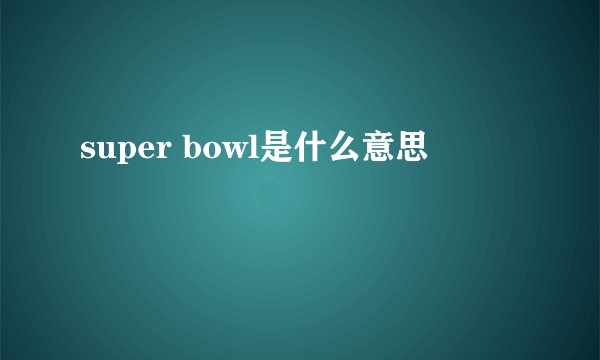 super bowl是什么意思