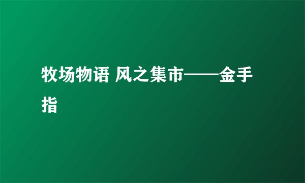 牧场物语 风之集市——金手指
