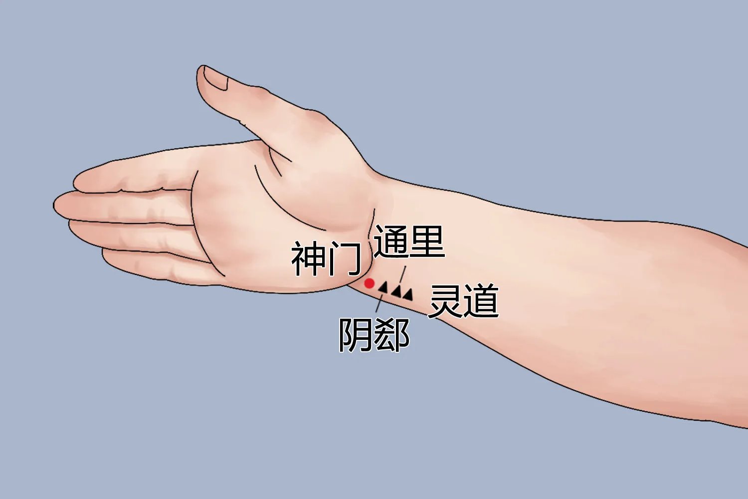 睡眠点位置图