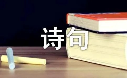 借月抒怀的诗句