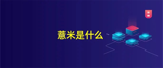 薏米是什么