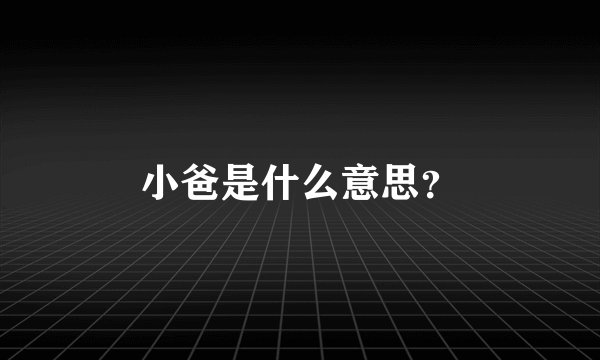 小爸是什么意思？
