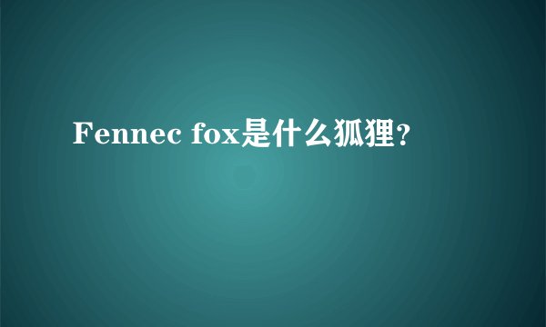 Fennec fox是什么狐狸?