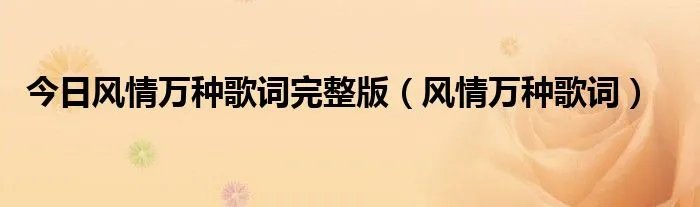 今日风情万种歌词完整版（风情万种歌词）