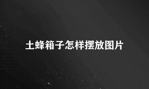 土蜂箱子怎样摆放图片