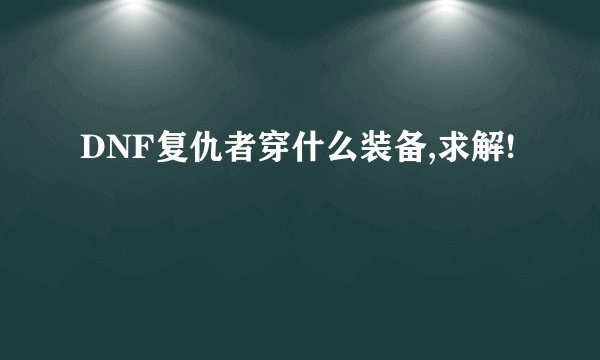 DNF复仇者穿什么装备,求解!