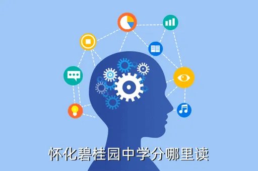 碧桂园中学,南京碧桂园高级中学怎么样