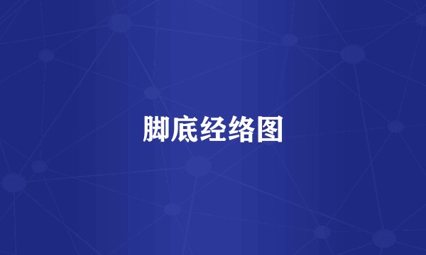 脚底经络图