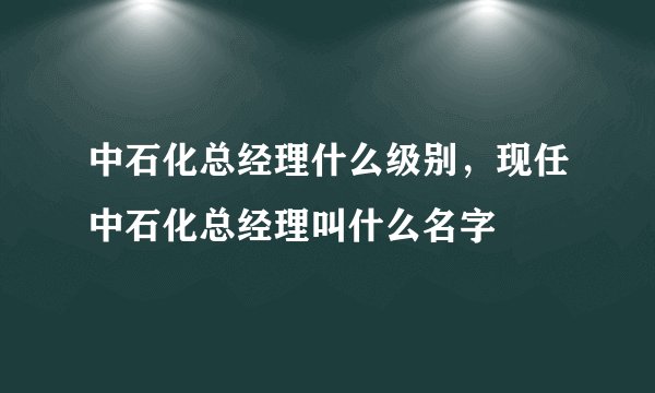 中石化总经理什么级别，现任中石化总经理叫什么名字