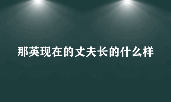 那英现在的丈夫长的什么样