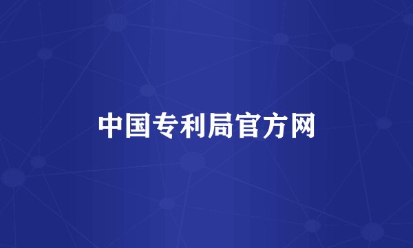 中国专利局官方网