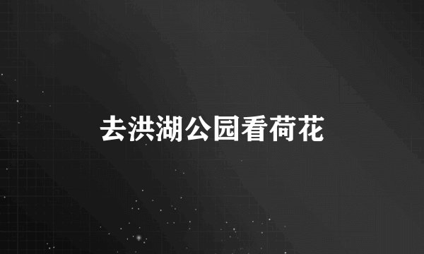 去洪湖公园看荷花