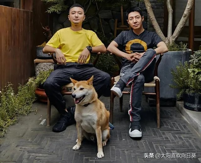 撒贝宁的近况如何?