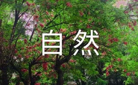 自然的力量