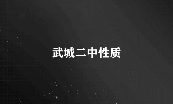 武城二中性质
