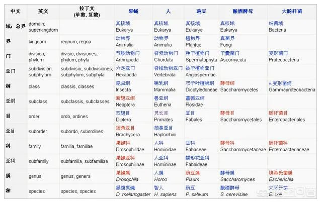 为什么老虎不是虎科动物而是猫科动物?