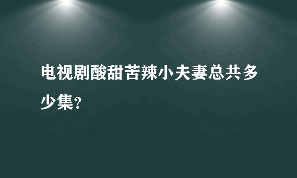 电视剧酸甜苦辣小夫妻总共多少集？
