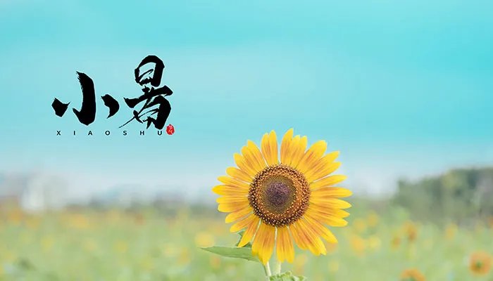 小暑节气特点介绍