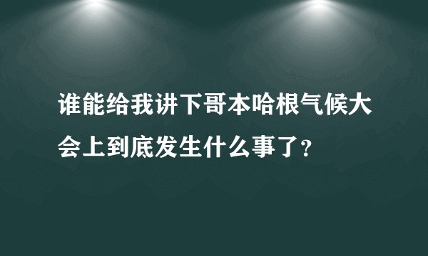 谁能给我讲下哥本哈根气候大会上到底发生什么事了？