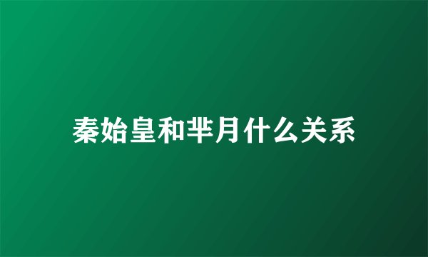 秦始皇和芈月什么关系
