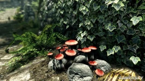 《上古卷轴5天际特别版》最低配置要求一览 上古卷轴5天际特别版什么配置能玩
