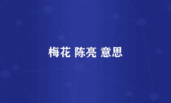 梅花 陈亮 意思