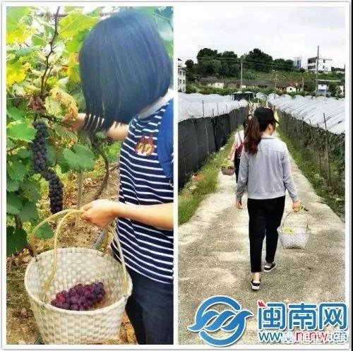 泉州哪里最适合周末度假避暑?