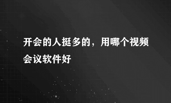 开会的人挺多的，用哪个视频会议软件好