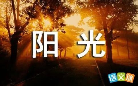阳光在手指间