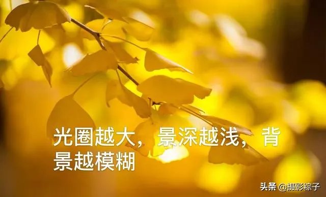 小白怎么学习摄影?