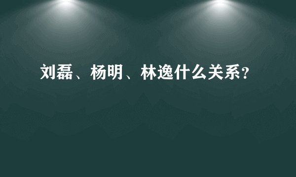 刘磊、杨明、林逸什么关系？