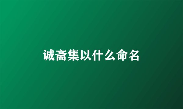 诚斋集以什么命名
