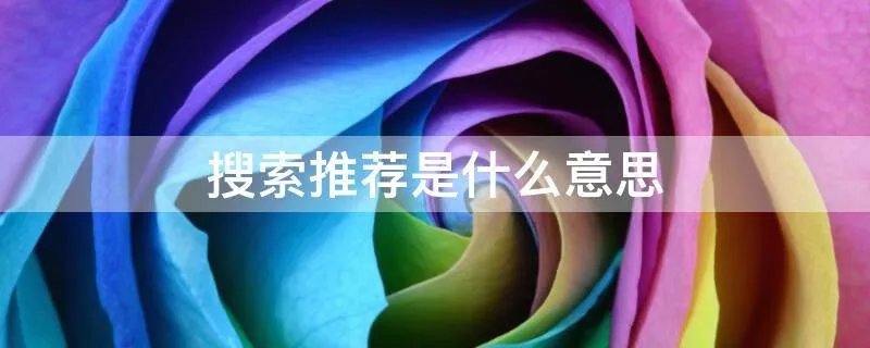 搜索推荐是什么意思