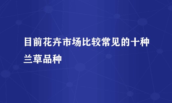 目前花卉市场比较常见的十种兰草品种