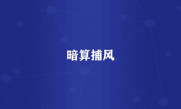 暗算捕风