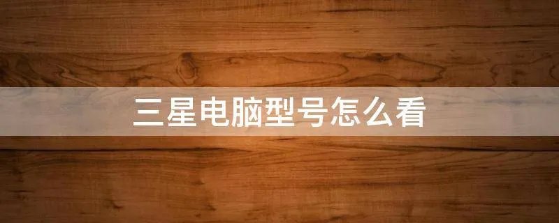 三星电脑型号怎么看