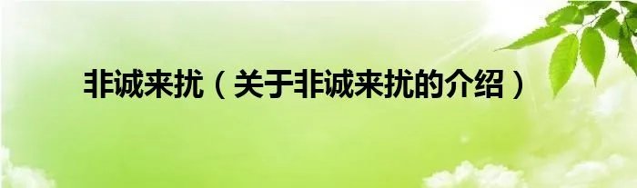 非诚来扰（关于非诚来扰的介绍）