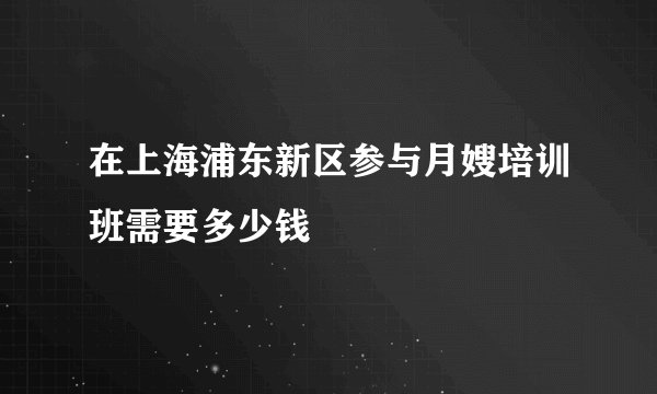 在上海浦东新区参与月嫂培训班需要多少钱
