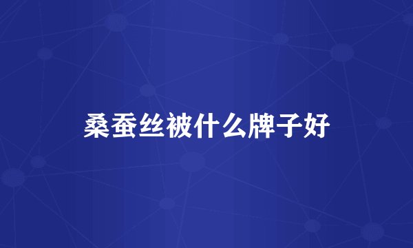 桑蚕丝被什么牌子好