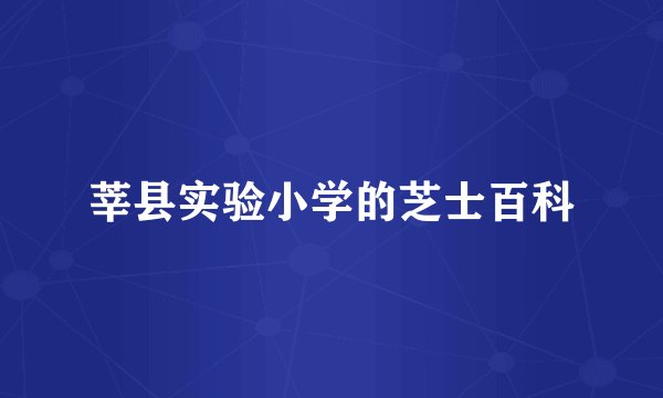 莘县实验小学的芝士百科