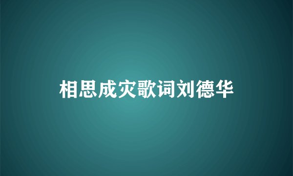 相思成灾歌词刘德华