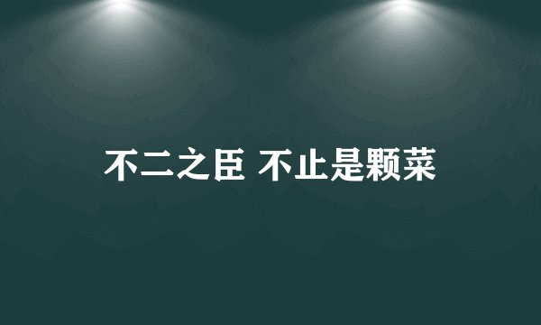 不二之臣 不止是颗菜