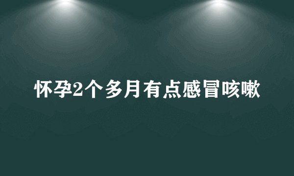 怀孕2个多月有点感冒咳嗽