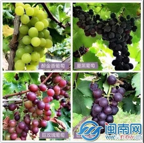泉州哪里最适合周末度假避暑?