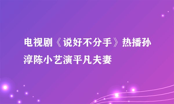电视剧《说好不分手》热播孙淳陈小艺演平凡夫妻
