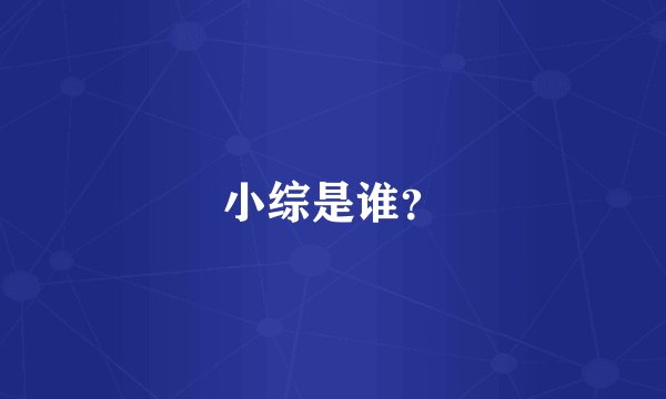 小综是谁？