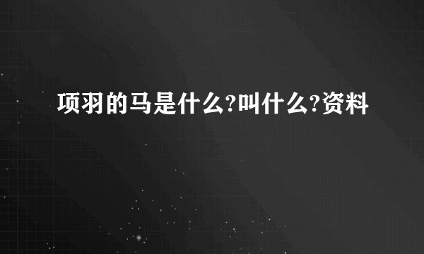 项羽的马是什么?叫什么?资料