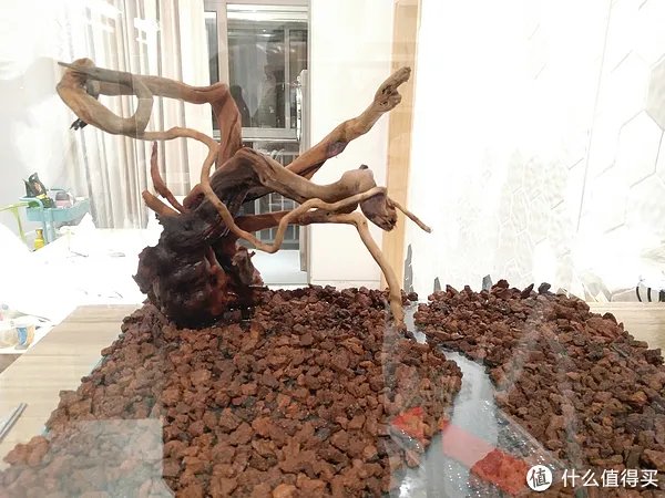 造景 篇一:小白也能玩草缸—聊一聊我的水草缸造景历程