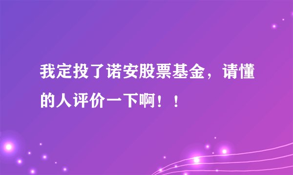 我定投了诺安股票基金，请懂的人评价一下啊！！