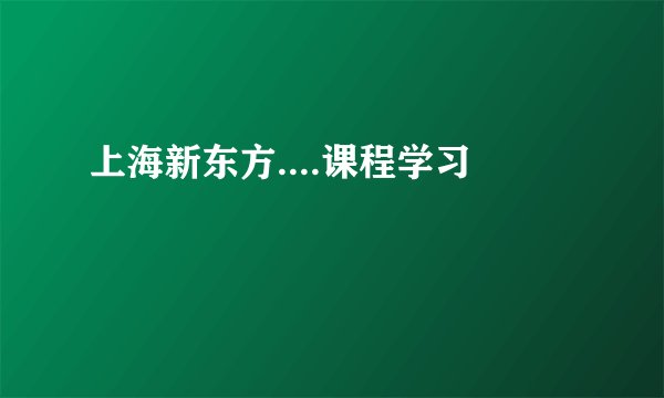上海新东方....课程学习